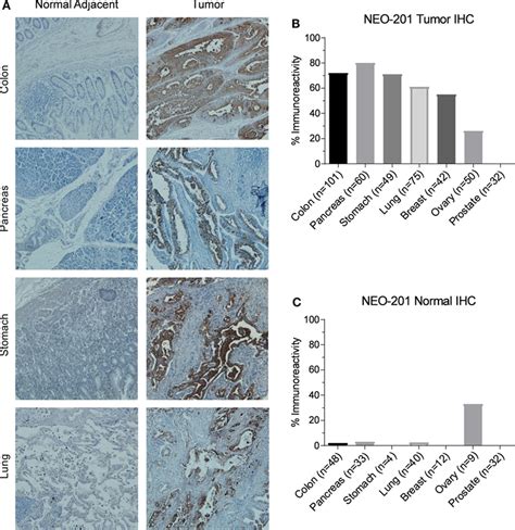 Frontiers Preclinical Characterization Of A Novel Monoclonal Antibody