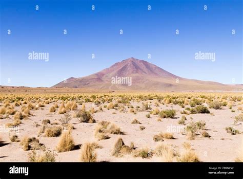 Bolivian Mountains Landscapeboliviaandean Plateau Viewvolcano View