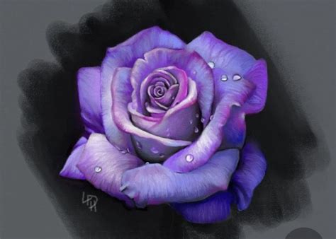 Pin By Iwona Caban On Zapisane Na Szybko In 2024 Purple Rose Tattoos