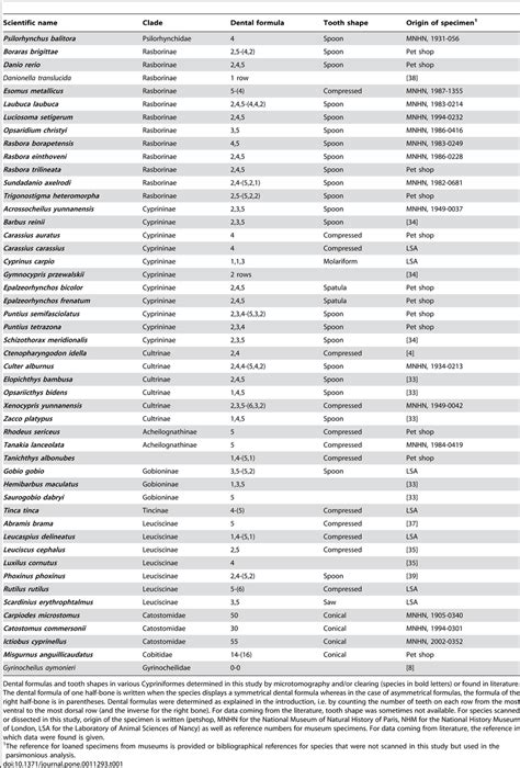 Cypriniformes species included in this study. | Download Table