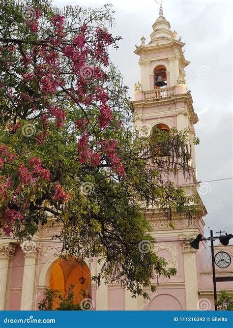 Flowered cathedral editorial photography. Image of pink - 111216342