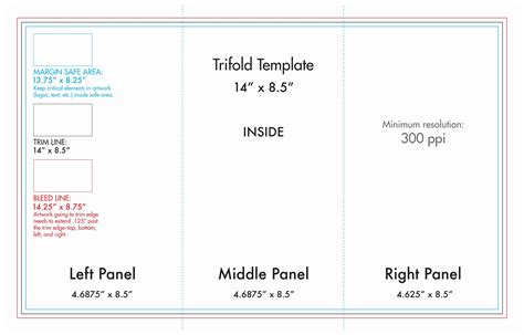 Tri Fold Brochure Template Dimensions