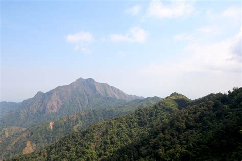 Menjejaki Keragaman Hayati Di Gunung Muria - GAIA Indonesia