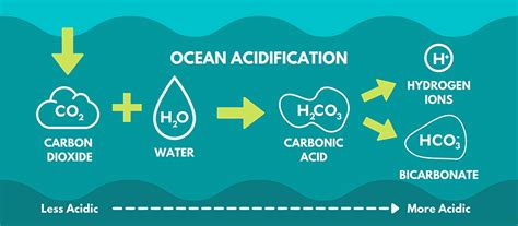 Ocean Acidification – Environmental Robotics