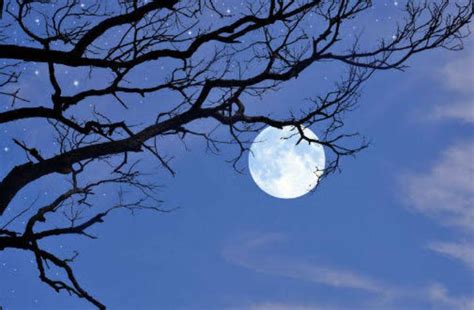 Fenomena Blue Moon Muncul Malam Ini Telisik Id