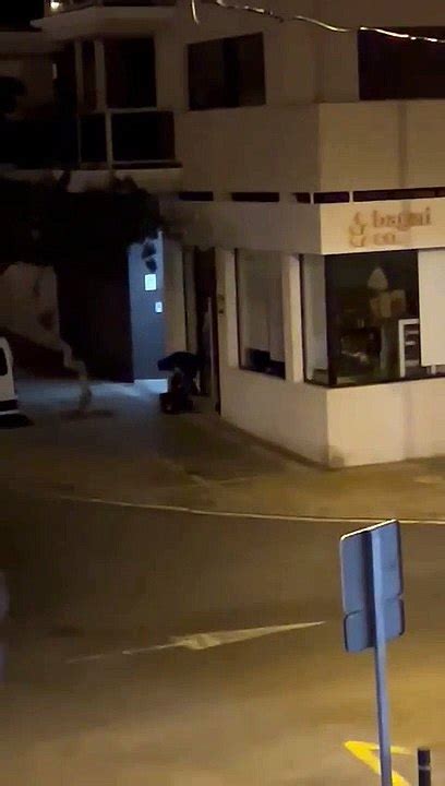 Robo en una panadería del Puertito de Güímar Vídeo Dailymotion