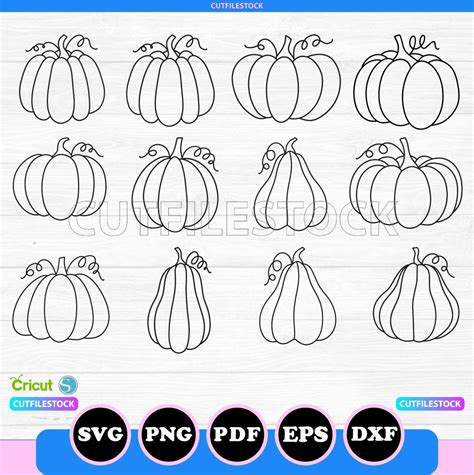 Pumpkin Outline Svg Png Cricut 12 Pumpkins Svg Bundle Files