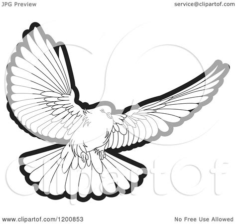 Clipart of a Black and White Dove Flying - Royalty Free Vector ...