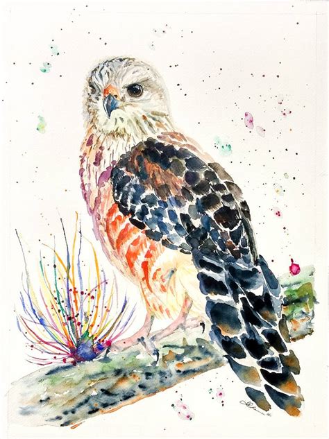 Watercolor Hawk At PaintingValley Explore Collection Of