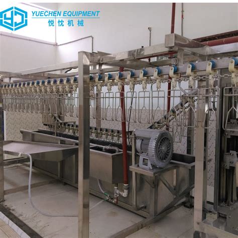 Small Capacity Poultry Farm Slaughterhouse Equipment Automatic Complete