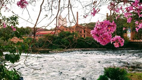 Um dia às margens do Rio Piracicaba roteiro completo Da Janela