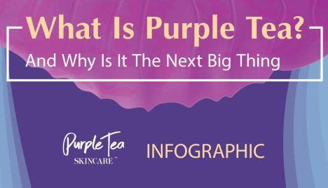 What Is Purple Tea Purple Tea Benefits INFOGRAPHIC In 2021