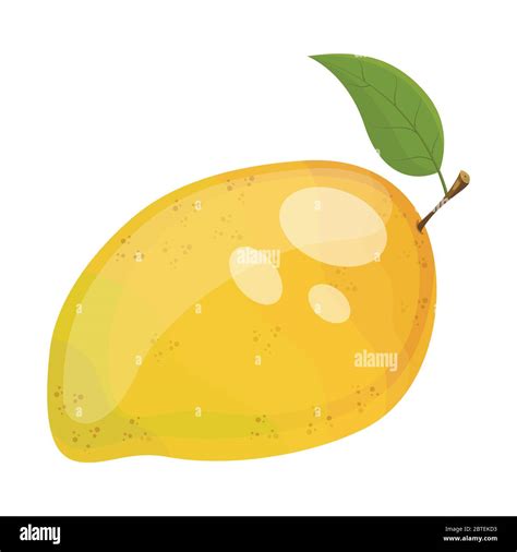 Golden Mangoes Stock Vector Images Alamy