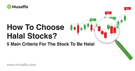 How To Choose Halal Stocks 5 Main Criteria For The Stock To Be Halal