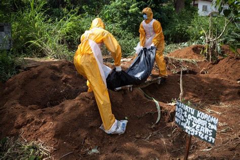 West Africa Ebola Death Toll Rises To 6 331