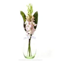 Dendrobium Orchid Bouquet, 30 bqts. - buy wholesale flowers - JR Roses