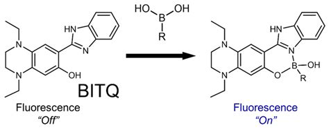 Schematic Of Boronic Acid Detection By Formation Of A Fluorescent