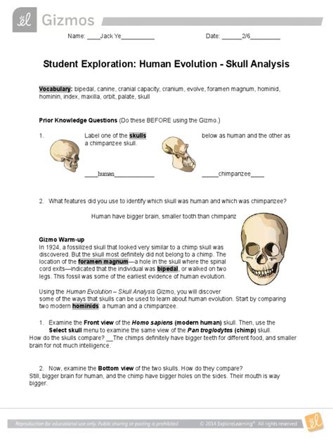 Free human evolution worksheet, Download Free human evolution worksheet png images, Free ...