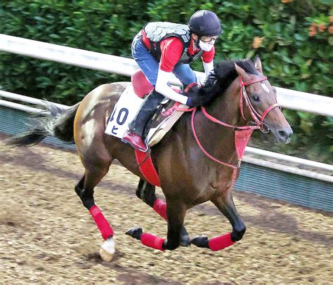 小倉記念七夕賞8着エヒトが巻き返しへ好ムード 陣営操縦性が高いのでどんなレースもできる UMATOKU 馬トク