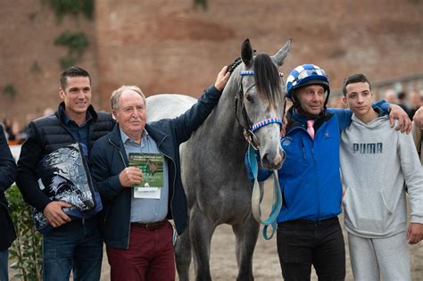 Puledri Made In Siena La Pi Bella Gardenia Fretta E Furia