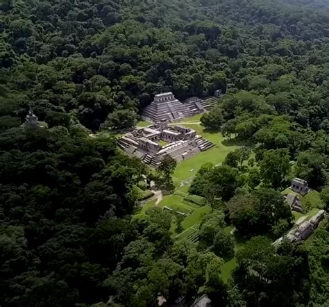 Calakmul Otra Estaci N Del Tren Maya Zona Arqueol Gica