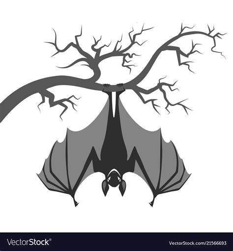 Bat On Branch Royalty Free Vector Image Vectorstock