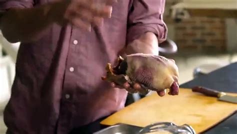 Meateater Se6 Ep13 Hd Watch Video Dailymotion