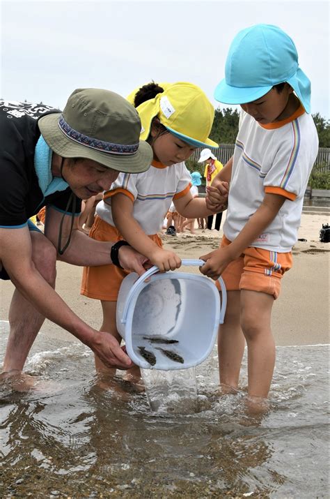 「大きく育って」 園児らヒラメの稚魚放流 賀露みなと海水浴場47news（よんななニュース）