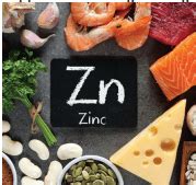 Why is zinc so important? | Terry Talks Nutrition 