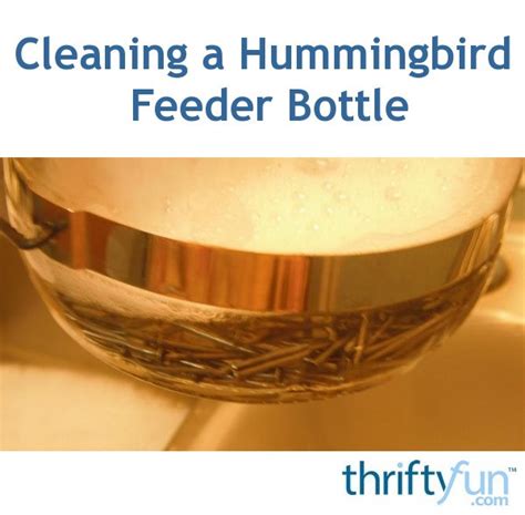 Cleaning a Hummingbird Feeder Bottle | ThriftyFun