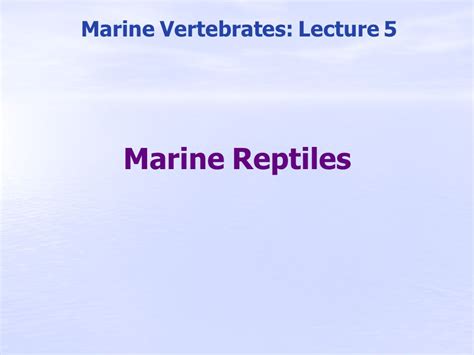 Marine Vertebrates Lecture 5 Ppt Video Online Download