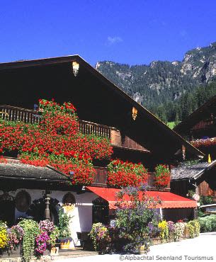 Alpbach Summer Holidays Guide | Chalets & Apartments | Holiday Rentals ...