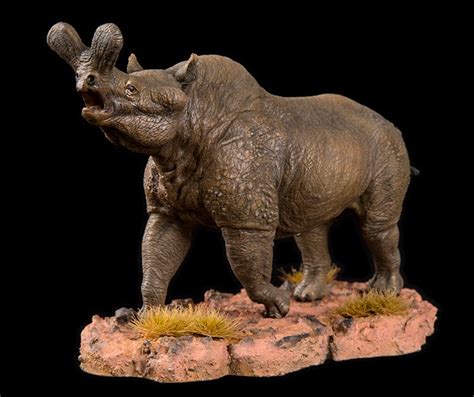 Brontotherium Resin Kit by Salas - Dan's Dinosaurs