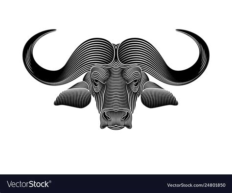 Drawn buffalo head portrait Royalty Free Vector Image