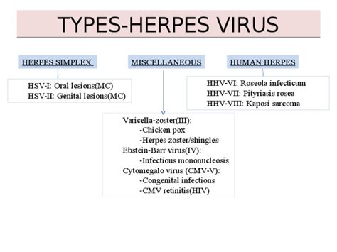 Types Herpes Virus | PDF