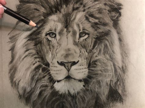 Lion Realistic Drawing at GetDrawings | Free download