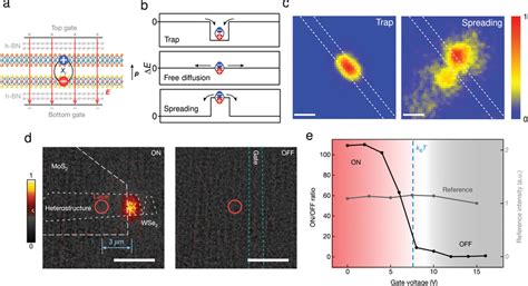 Mechanism And Operation Of Interlayer Exciton Transistors A Schematic