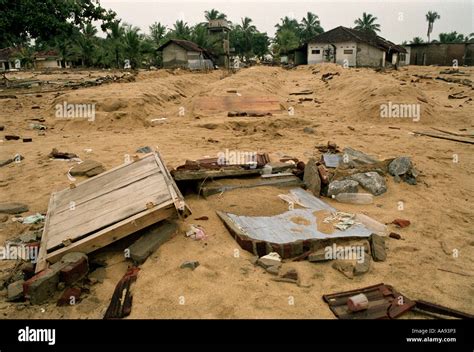 Devastation Tsunami Kalmunai District Ampara In Sri Lanka January 2005