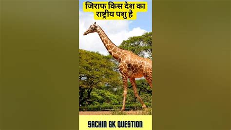 जिराफ किस देश का राष्ट्रीय पशु है L Gk Short L Gk Quiz L Viralgk