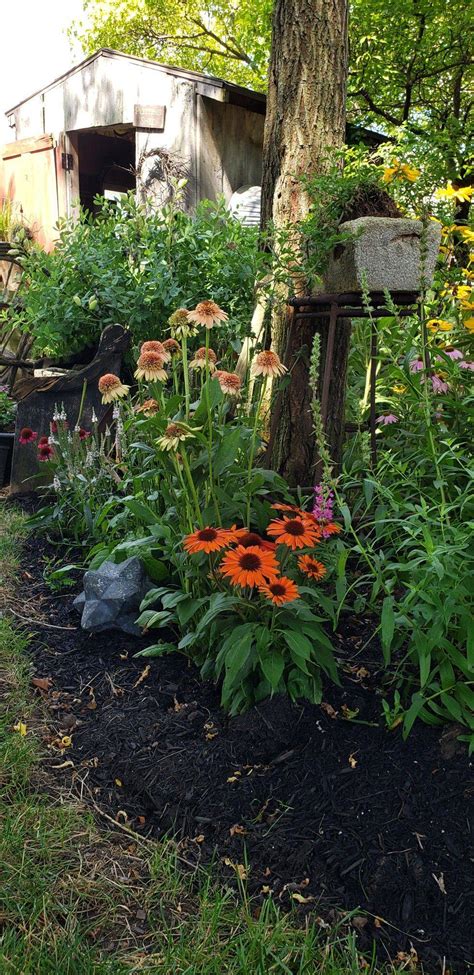 21 Primitive Farmhouse Garden Ideas You Must Look Sharonsable