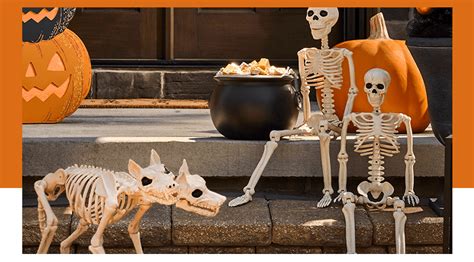 Halloween Skeleton Decorations - JOANN