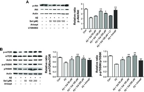 Sal Inhibits Aβ Induced Neurotoxicity By Activating The Aktmtorp70s6k