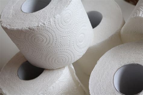 8 Different Types of Toilet Paper: What Are The Differences? | House Grail