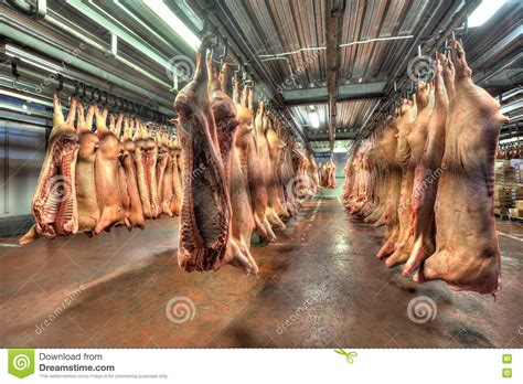 Reses Muertas De Cerdo Que Cuelgan En Los Ganchos En Una Tienda Fr A