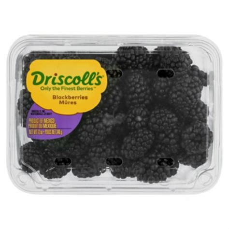 Driscoll S Fresh Prepacked Blackberries 12 Oz Delivery Or Pickup Near