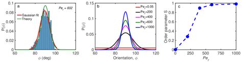 Orientation dynamics of a confined anisotropic particle. (a) Comparison ... 