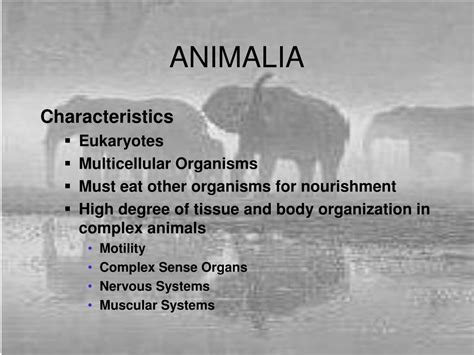 general human anatomy powerpoint    id