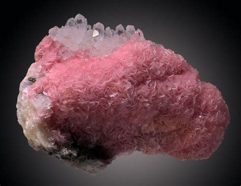 Rhodochrosite And Quartz Cavnic Mine Cavnic Romania Minerals