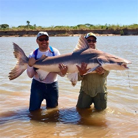 Pousadas No Rio Araguaia Para Pesca