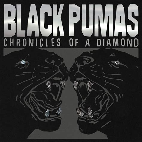 Chronicles of a Diamond | Black Pumas